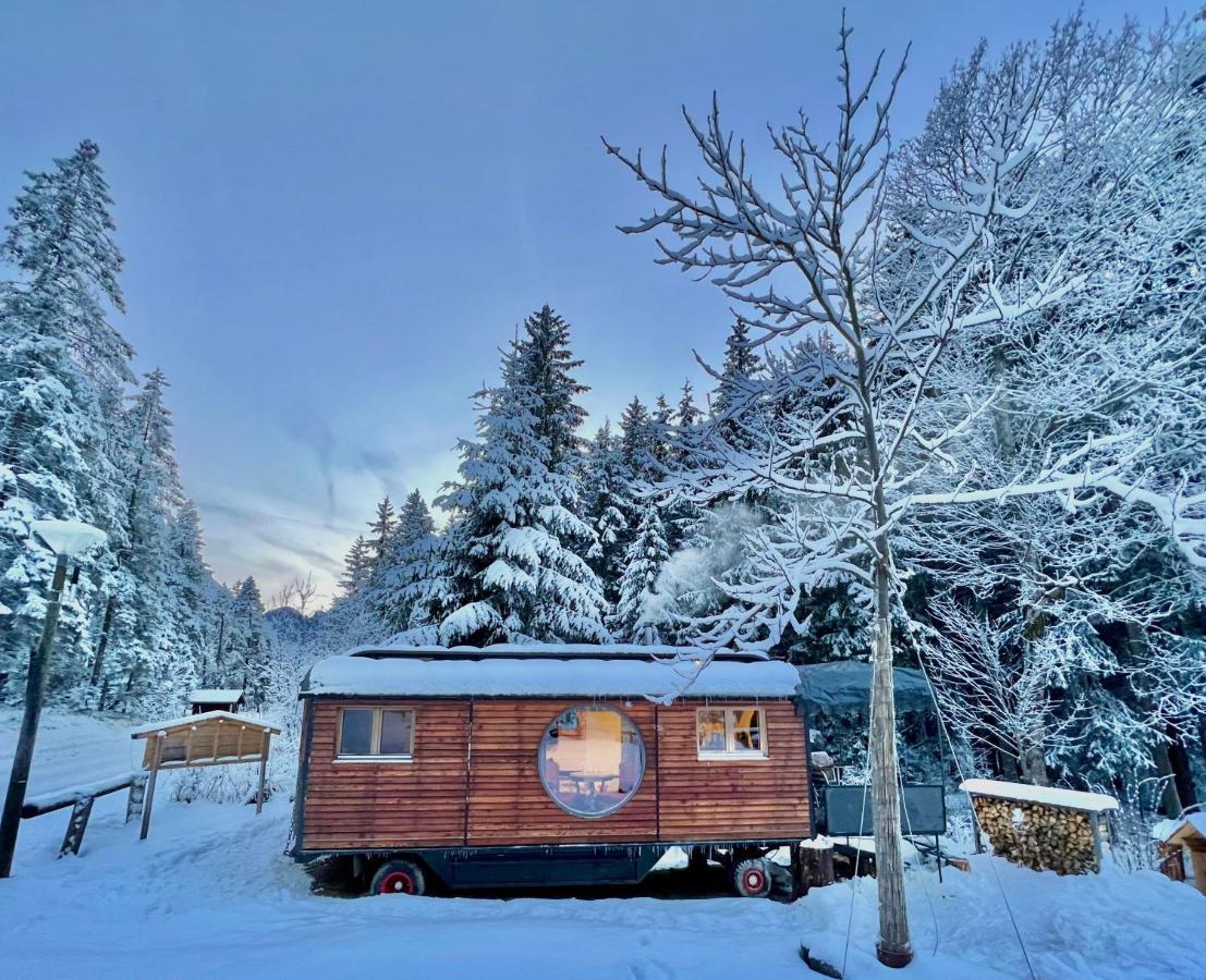 Typically Swiss Hotel Ermitage Kandersteg Zewnętrze zdjęcie